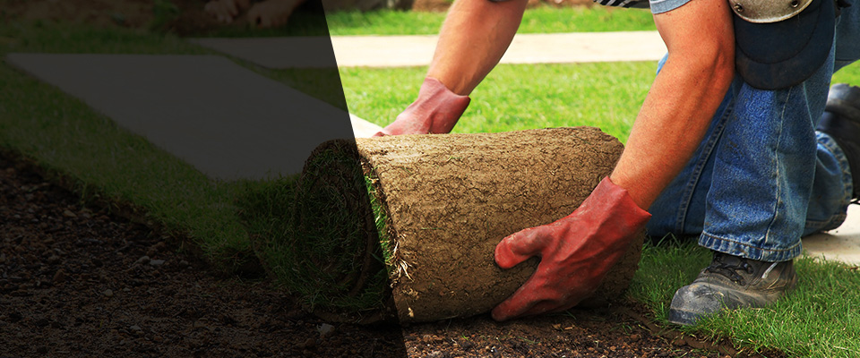 Fort Edward Landscapers